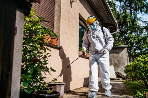 Best Termite Control Services  in Suffield Depot, CT